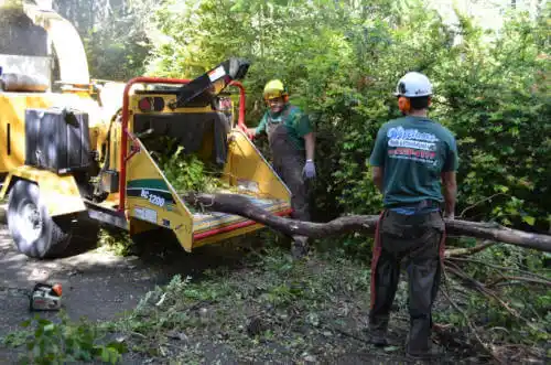 tree services South Highpoint